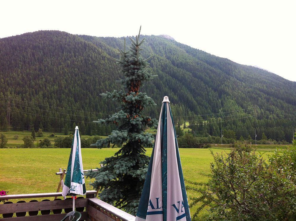 Hotel Pizzeria Selva Zernez Kültér fotó