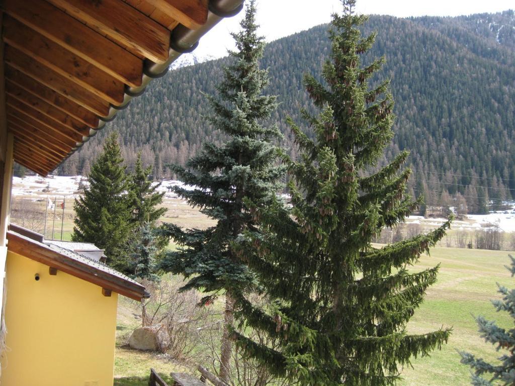 Hotel Pizzeria Selva Zernez Kültér fotó